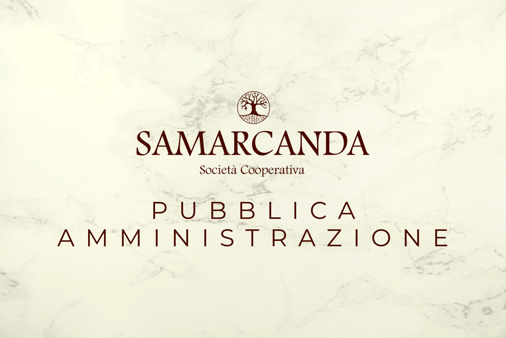 Riquadro Pubblica Amministrazione della pagina servizi Samarcanda Società Cooperativa